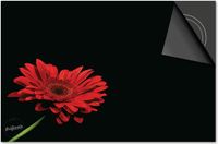 Dietrix Inductie Beschermer 76x51,5 - Bloemen en Planten - Rode Gerbera