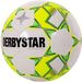 Derbystar Brillant APS Futsal II Voetbal - Maat 4
