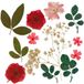 Baker Ross WA166 Rode en roze gedroogde geperste bloemen - Pakket van 17, natuurlijke geperste bloemen voor knutselen en het maken van kaarten