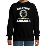 Bellatio Decorations Amazing Wild Animals Sweater panter - zwart - kinderen - cadeau trui panter / zwarte panters liefhebber 122/128