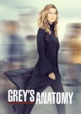Disney Grey's Anatomy S14