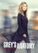 Disney Grey's Anatomy S14