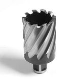 Evolution Power Tools lange serie brootsfrees voor magneetboor universeel passende magneetboorbit 50 mm lengte x 43 mm diameter