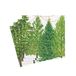 Caspari Kerstbomen met Lichten Papieren Cocktail Servetten - 20 Per Pakket