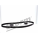 Storm Kit de distribution pour LANCIA: Phedra, Zeta & FIAT: Ulysse, Scudo & PEUGEOT: 307, 206, 806, 406, 407, 607, 807, Expert (Ref: 904417)