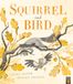 Squirrel Little Tiger Press Group Squirrel And Bird Paperback