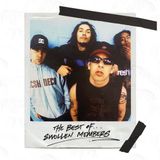 Suburban Swollen Members The Best of Swollen Members