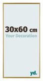 Your Decoration Cadre photo 30x60 cm Plastique Or Evry