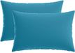 vidaXL Coussin 2 pièces Bleu clair Polyester 40 x 60 cm