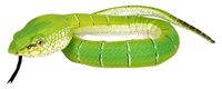 Wild Republic Snake Vipera Blazer, 137 cm, gevuld met gerecyclede waterflessen
