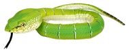 Wild Republic Snake Vipera Blazer, 137 cm, gevuld met gerecyclede waterflessen