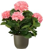 Mica Decorations Hortensia kunstplant/kunstbloemen 45 cm - roze - in pot olijfgroen mat - Kunst kamerplant