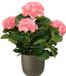 Mica Decorations Hortensia kunstplant/kunstbloemen 45 cm - roze - in pot olijfgroen mat - Kunst kamerplant
