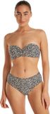 Ten Cate Basics midi bikini bottom wild dot voor Dames | Maat 40