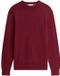 Tommy Hilfiger Pull en maille pour homme - XS - 100% Coton