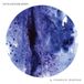Sony Music Charlie Barnes Oceanography