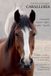 Caballeria Paperback Fernando Todd Estrada 01 februari 2026