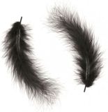 Glorex Hobby - Plumes décoratives - 30x - noir - 16 cm - plumes décoratives