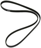 Dayco 5PK1150S V-riem