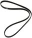 Dayco 5PK1150S V-riem