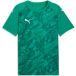 Puma Jersey Team Final Graphic