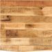 vidaXL Tafelblad met natuurlijke rand 40x40x2,5 cm massief mangohout