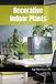 Decorative Indoor Plants