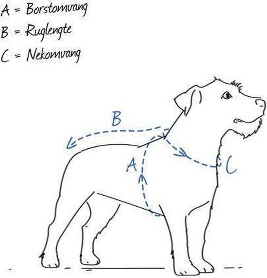 PETSAFE Verstelbaar EasySport Hondenharnas XS-L in 5 kleuren