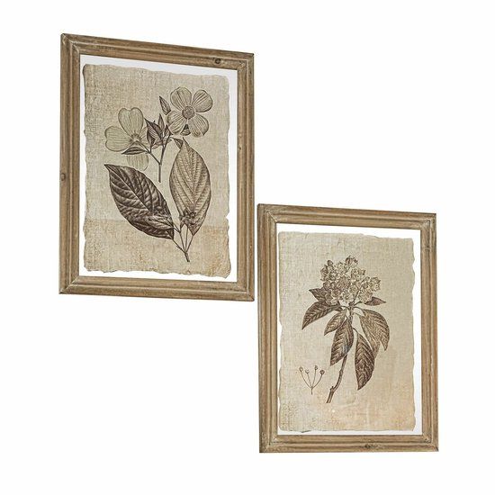 LOBERON Afbeelding set van 2 Guyra beige/bruin