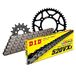 Kettingset DID Kettingset staal 520VX3 / 102 eindeloos voor Ducati Monster Dark 600/620 cc bouwjaar 2000-2004