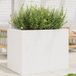 Maison Exclusive - Bac à plantes blanc 90 x 60 x 68,5 cm en pin massif