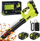 Trimmex Souffleur de feuilles sans fil 20V