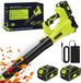 Trimmex Souffleur de feuilles sans fil 20V