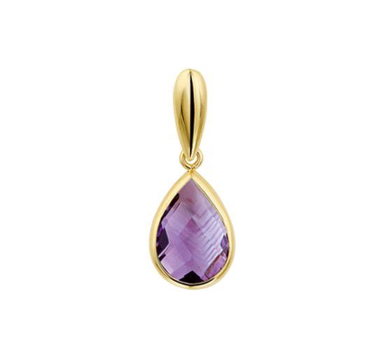The Jewelry Collection Hanger Amethyst - Geelgoud