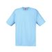 Fruit Of The Loom Heren Screen Stars Origineel Vol Cut T-shirt met korte mouwen (Hemel Blauw)