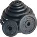 Body Revolution Disque de musculation en fonte 2,25kg (x2)