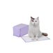 Amazon Basics Wegwerpbodem voor kattenbak, met sneldrogend oppervlak, frisse geur, set van 20, paars, wit