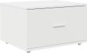 vidaXL Ladekast 55 x 45 x 31 cm Wit
