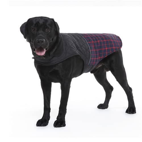 JRKJ Winter Dog jas kleding Waterdichte reflecterende grote hondenjas Soft High Collar Dog Vest voor Medium Large Dogs S-2XL