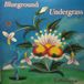 Sonic Rendezvous Blueground Undergrass - Faces (CD)