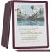 Amazon Kindle Scribe Colorsoft e-book reader 64 GB Wifi Bordeaux
