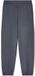 Ea7 Emporio Armani 7w001018_af24375 Pantalon de jogging Gris XL Femme
