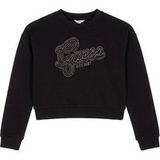 GUESS Sweatshirt zwart / zilver