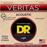 DR Strings Veritas Akoestische Gitaarsnaren (12-54)