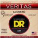 DR Strings Veritas Akoestische Gitaarsnaren (12-54)
