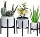 Unyqoos® Support de plantes, set de 3 – supports réglables en métal noir (fer), largeur 21–38 cm, adapté pour intérieur, pièces et balcon