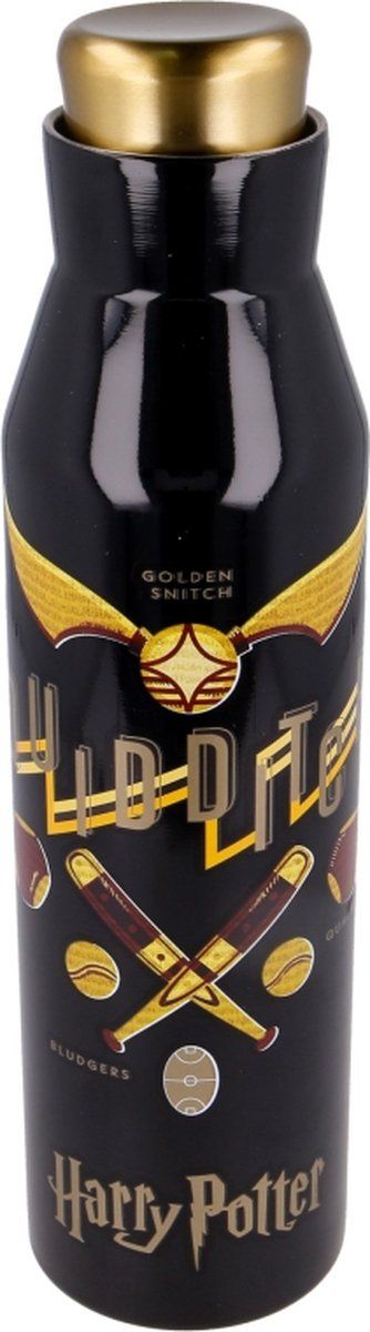 Harry Potter Thermo Drinkfles Rvs - 8412497039418