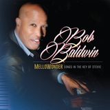 Suburban Mellowonder - Songs in the Key of Stevie