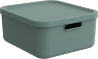 Rotho Albula Light - Decoratie opbergbox - 20 L - Groen