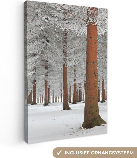 OneMillionCanvasses Canvas Schilderij - Bos Landschap - 60x90cm - Muurdecoratie